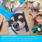 9" x 12" 10-Sheet 8-Ounce Triple Primed Acid-Free Canvas Paper Pad (Pack of 2 Pads), Canvas Paper for Acrylic Painting